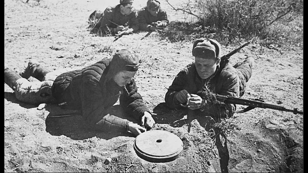 Фото из Яндекса. Спасибо автору. 