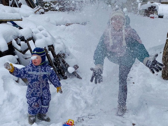 Хроники фазенды: январь