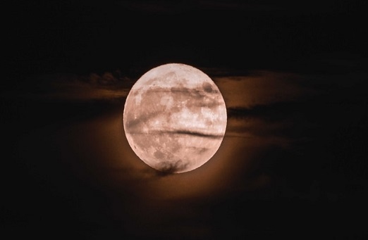 Изображение из открытого источника. Unsplash