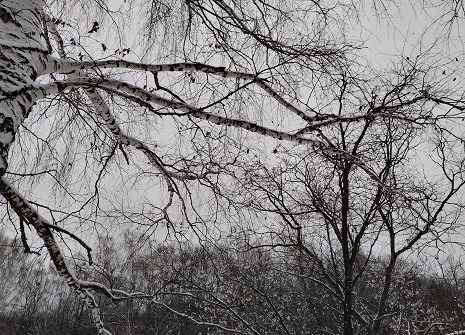 Фотография из личного архива автора