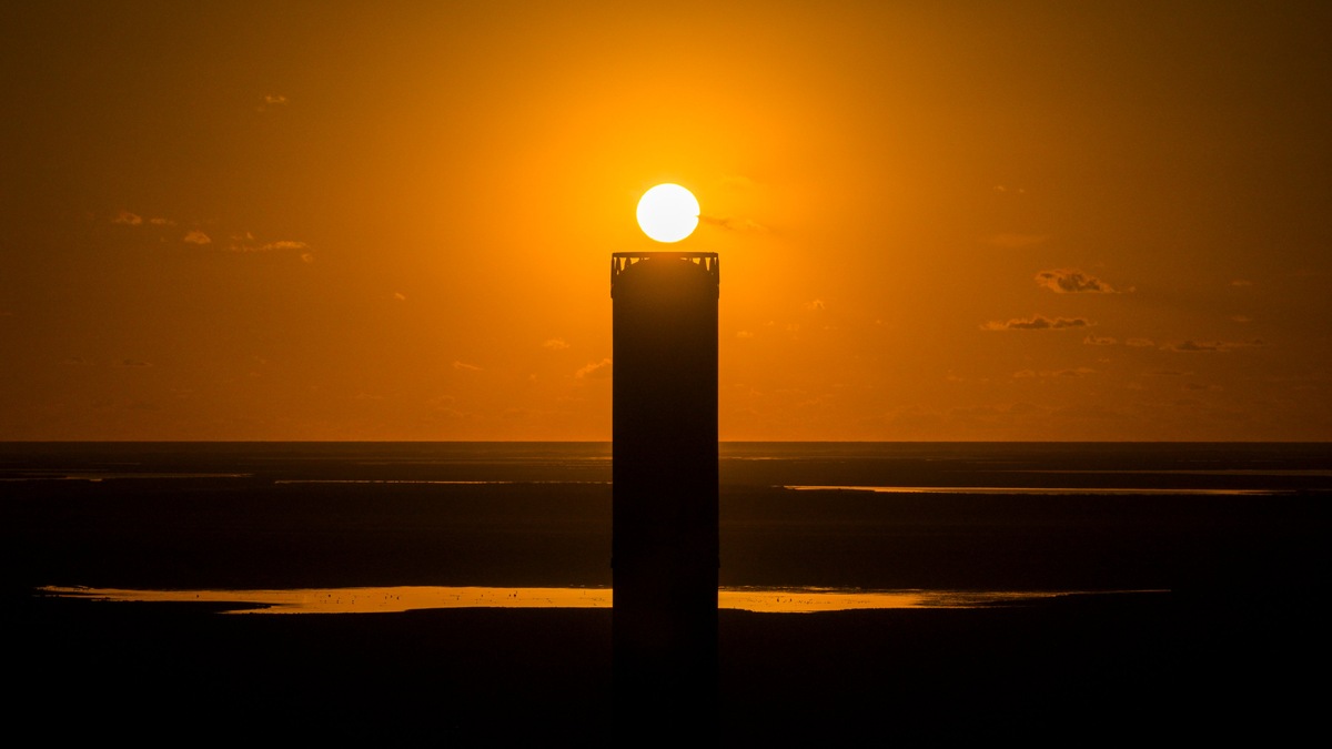 Фото: SpaceX  📷
