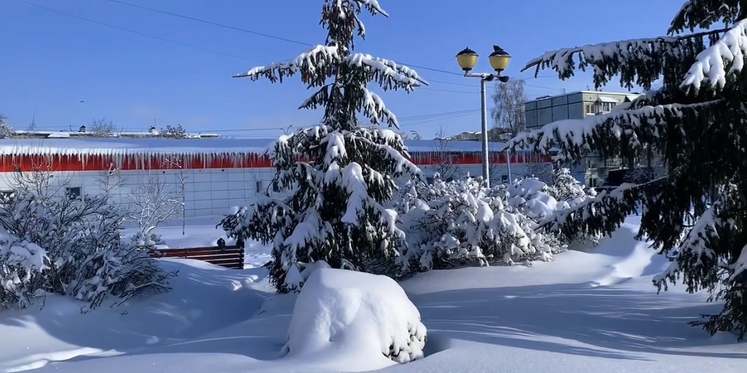 Донат, кэшбэк и сильный мороз