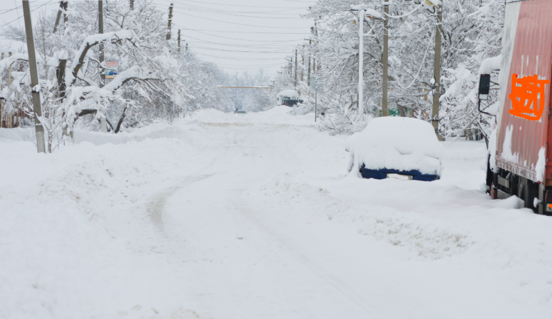 Фото автора. 16.01.2026. Снежный заряд.