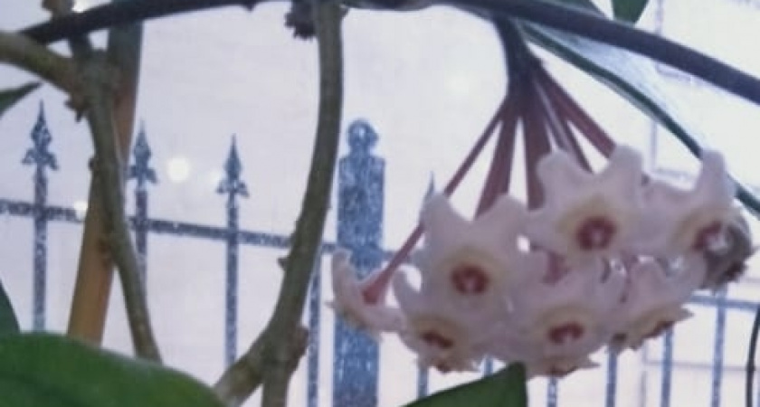    фото women365.ru