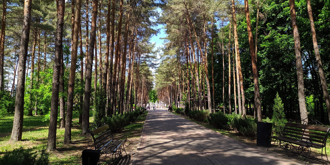 Парк: место отдыха, культуры и гармонии