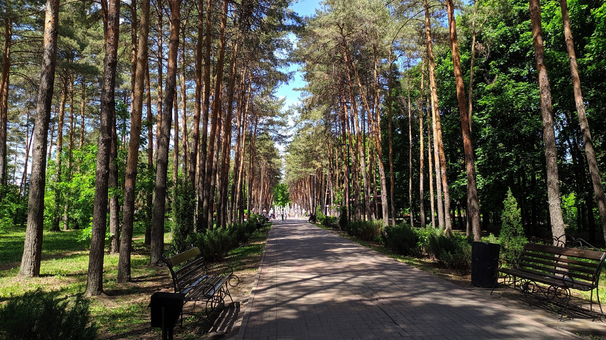 Фото автора. Парк Победы.