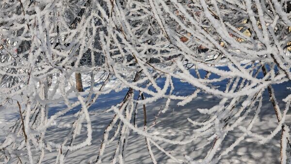    © Sputnik / Тамара Беляева