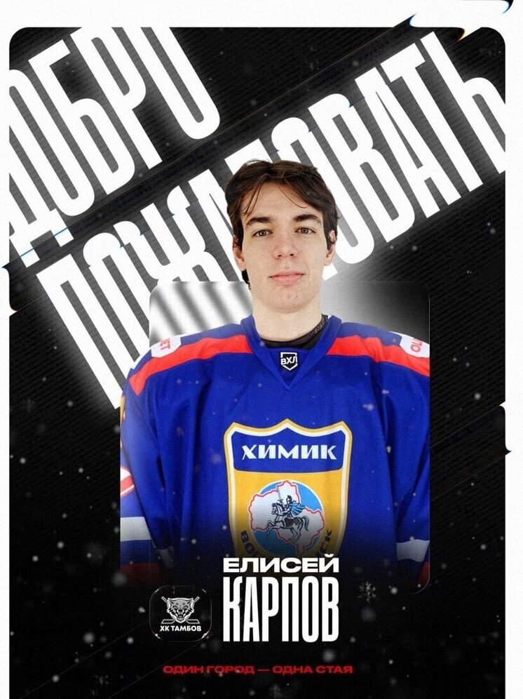     Источник: ХК "Тамбов"