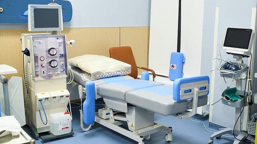 Фото: ИЗВЕСТИЯ/Полина Фиолет