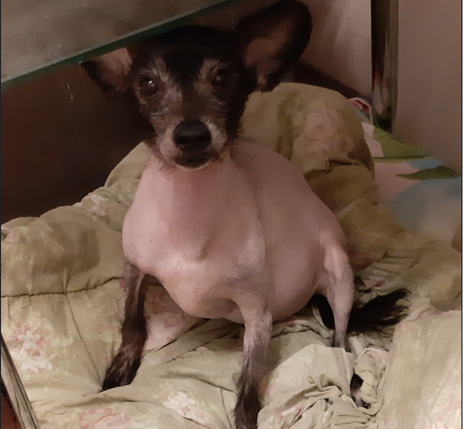 Тут Рэйчуле 11 лет