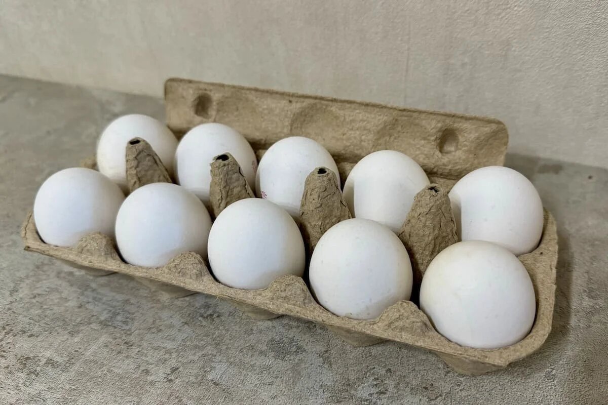 Фото: UfacityNews.ru