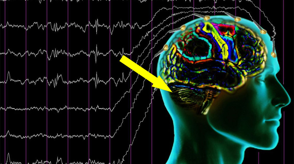    Что происходит с мозгом за 30 секунд перед смертью