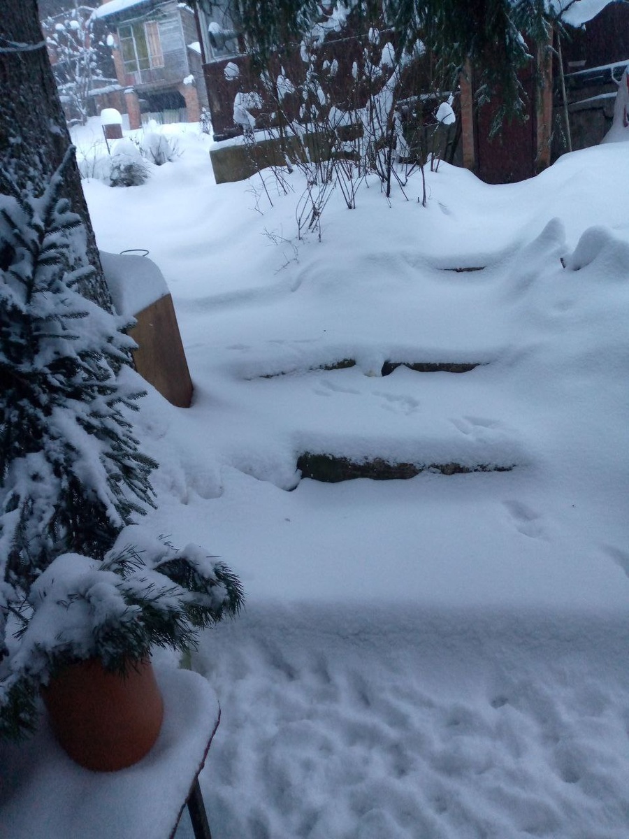 Начало снегопада