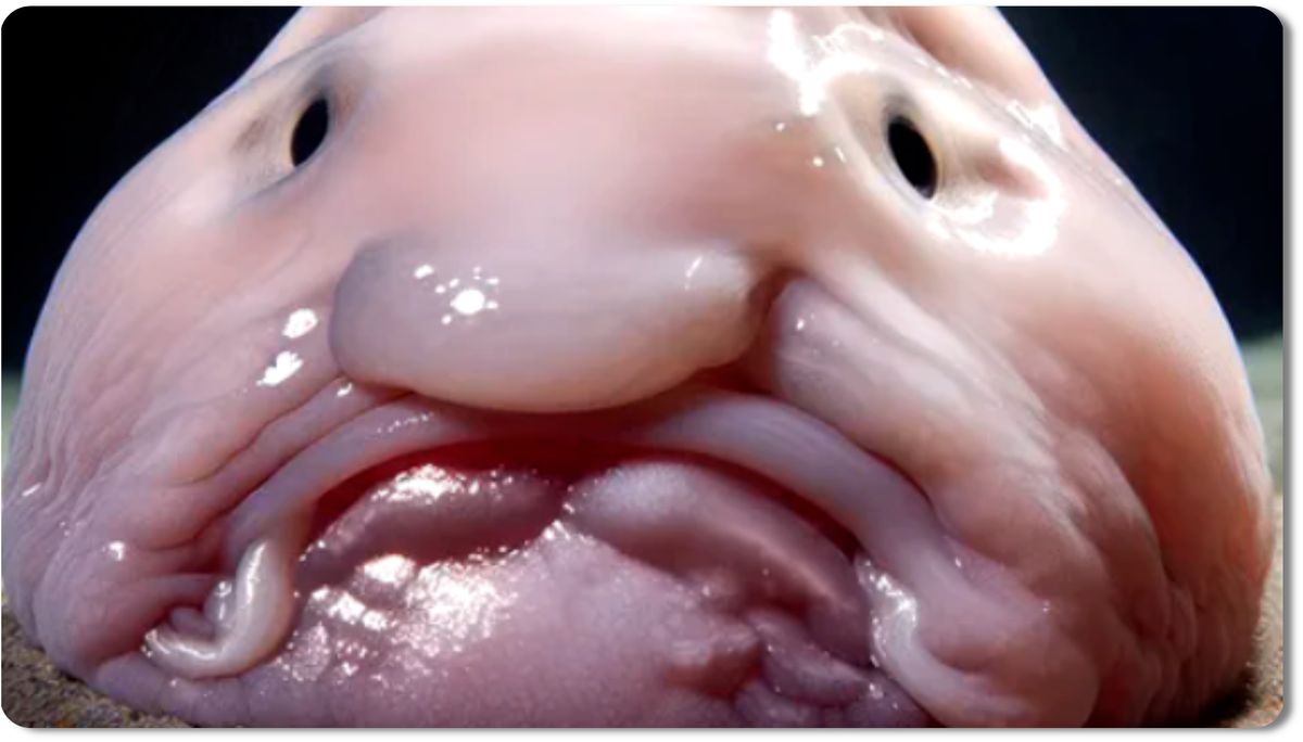 идеальная адаптация к давлению в 80 атмосфер