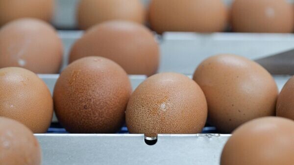    © Sputnik / Александр Кряжев