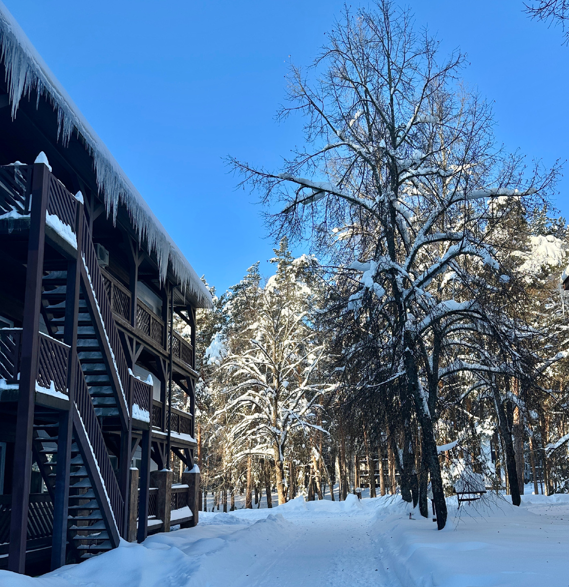 На территории отеля. По пути в столовую.