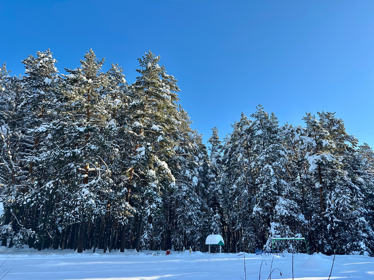 На территории отеля. По пути в столовую