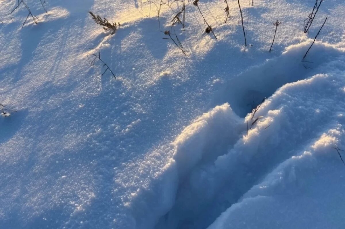    Синоптики предупредили о морозах в Калининградской области 2 февраля