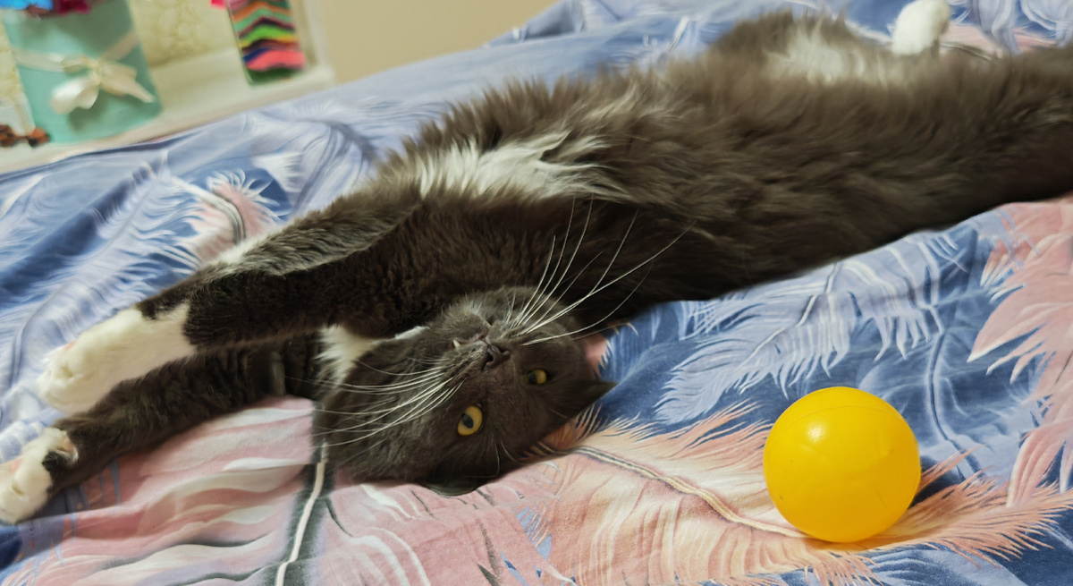 Фото автора канала.