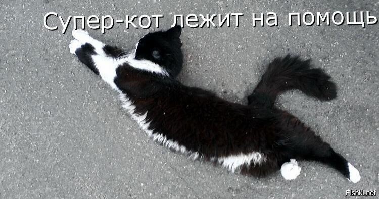 источник Яндекс-картинки