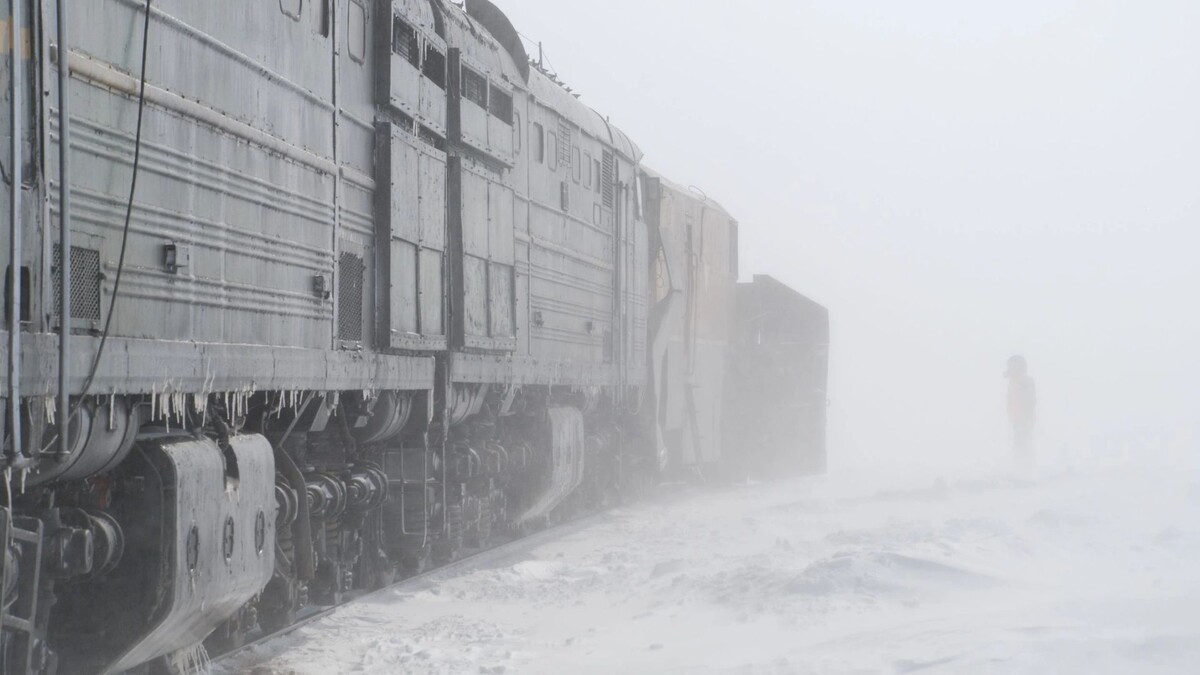    Фото: Anton Romanov/Shutterstock/Fotodom