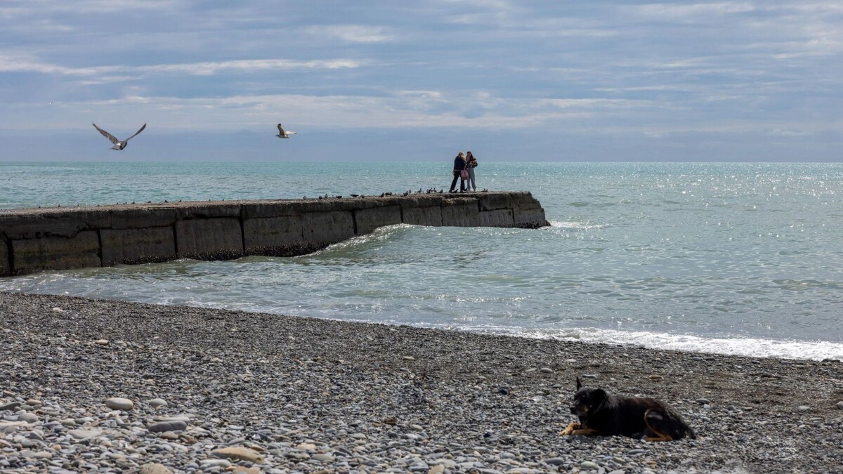    Фото: Федор Воронов/«Ямал-Медиа»