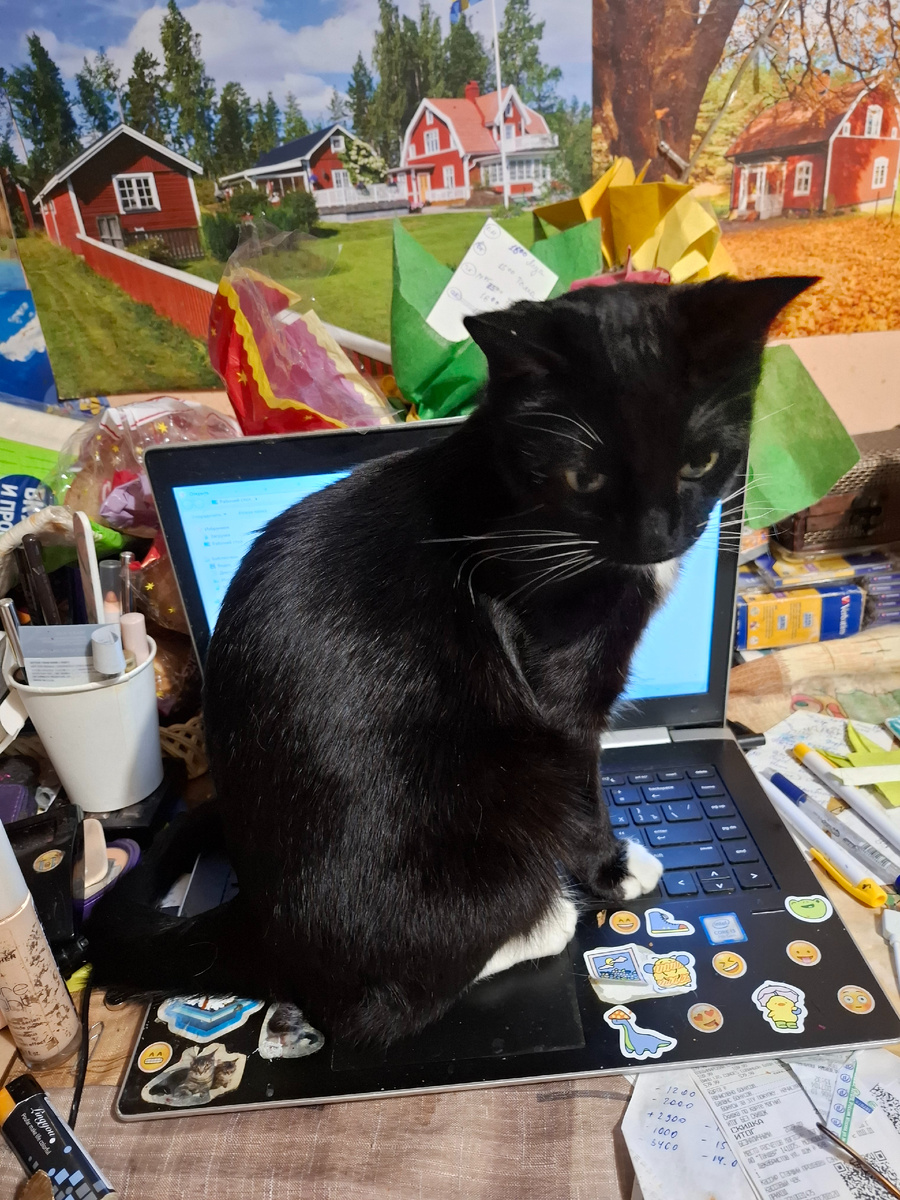 Зараза мелкая. На ноуте греется. Тоже мёрзнет 