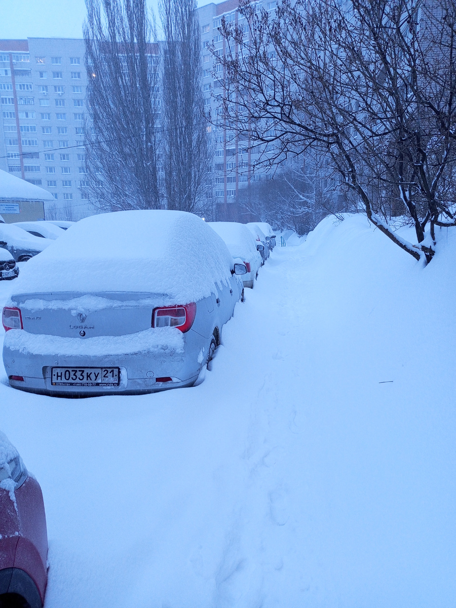 Утренний пейзаж