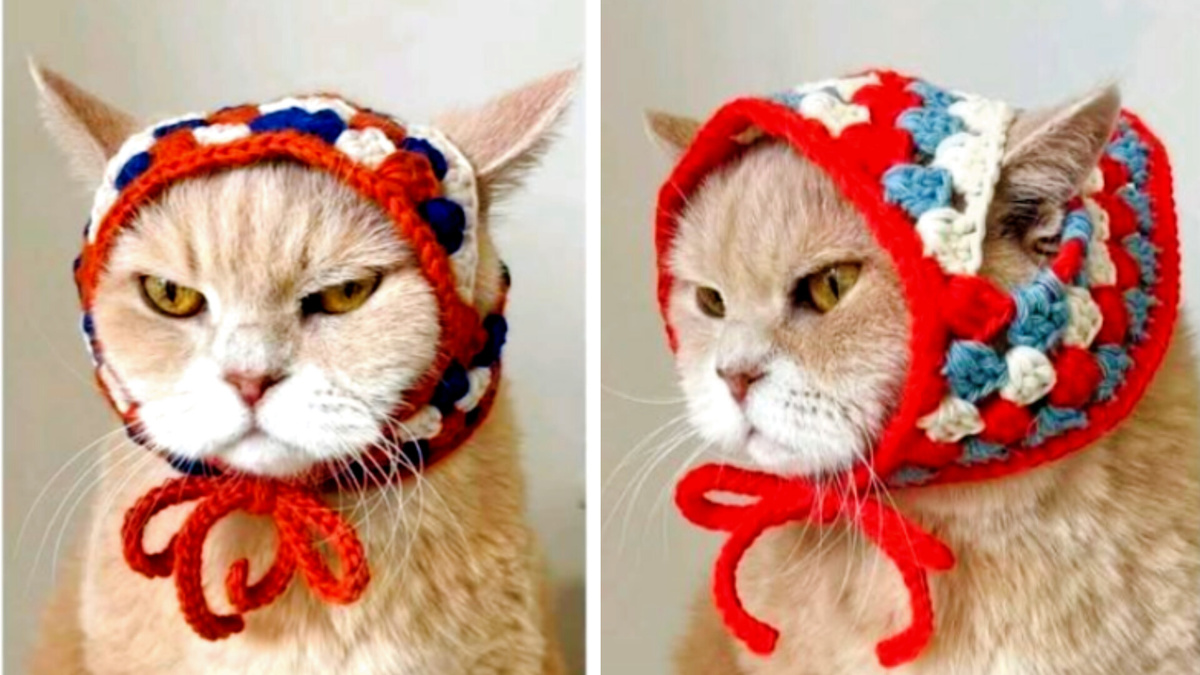 Когда тебя зовут Василий, и ты работаешь моделью 