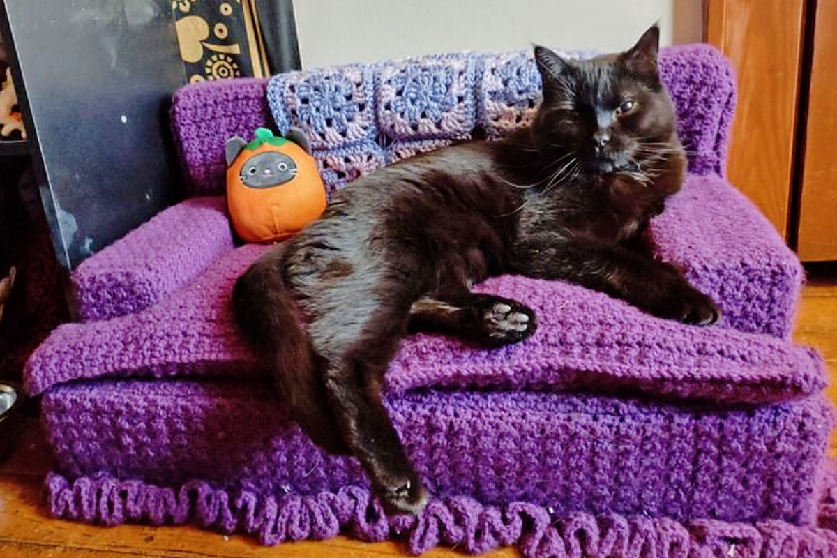 Мама связала нашему коту диван. Теперь он сидит на нём с видом большого босса