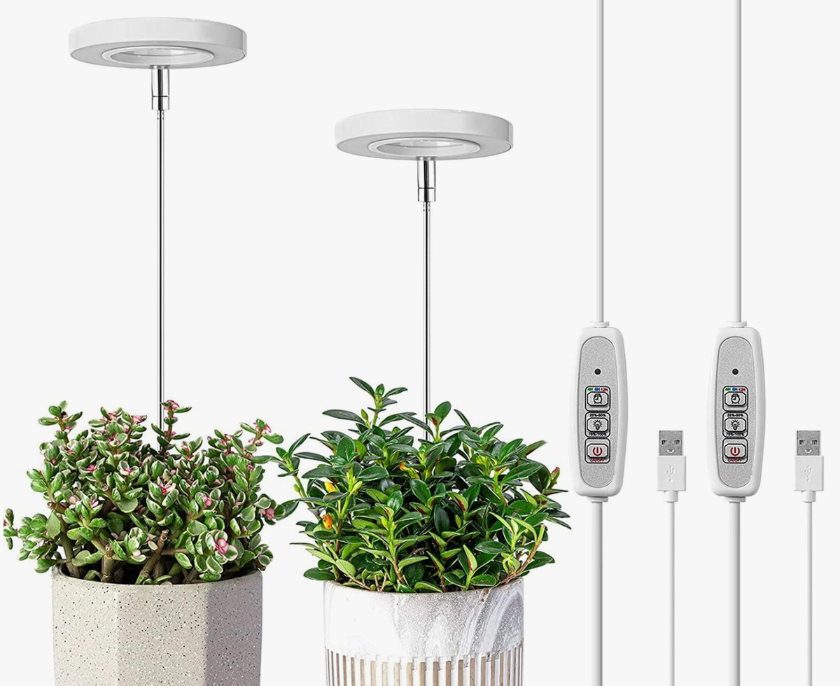 Источник фото: joom.com