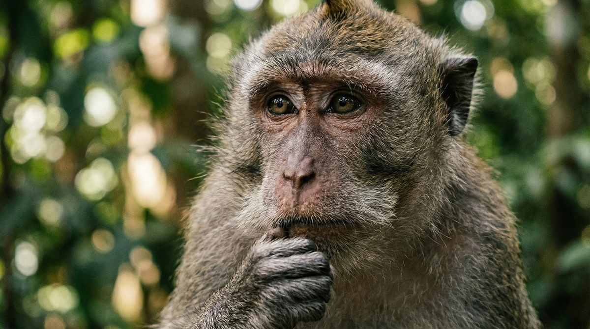 Сгенерировано ИИ