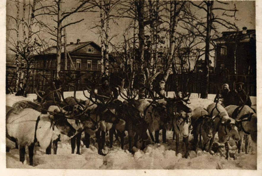 Карточка почтовая 'Архангельск. Мезенские самоеды.'