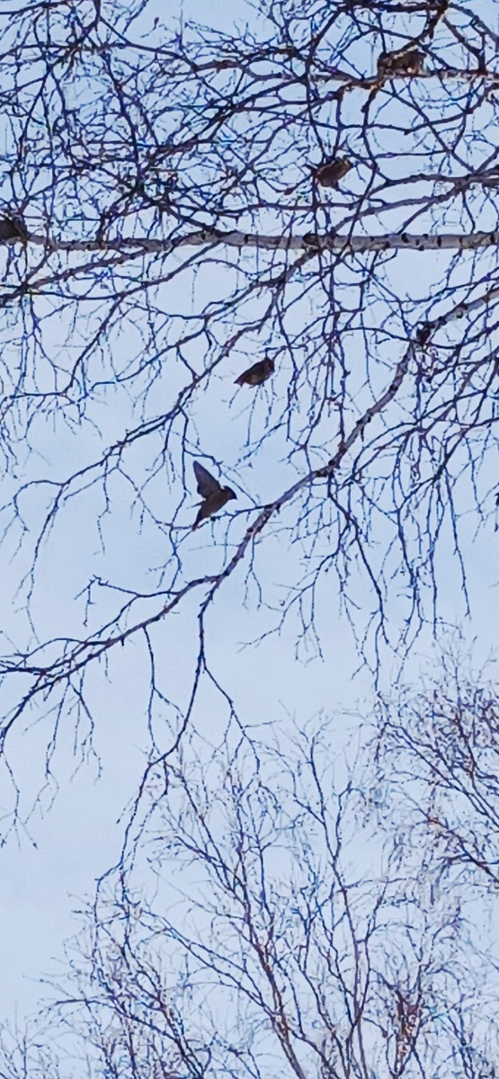 "Доброе утро, мир! Ты прекрасен!" Фото автора