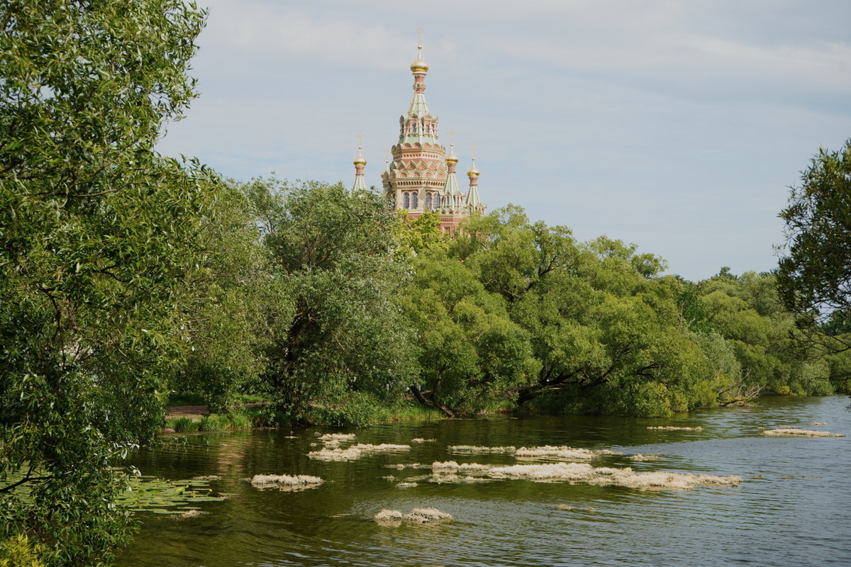 Ольгин пруд в Петергофе / Фото: ЗАКС.Ру