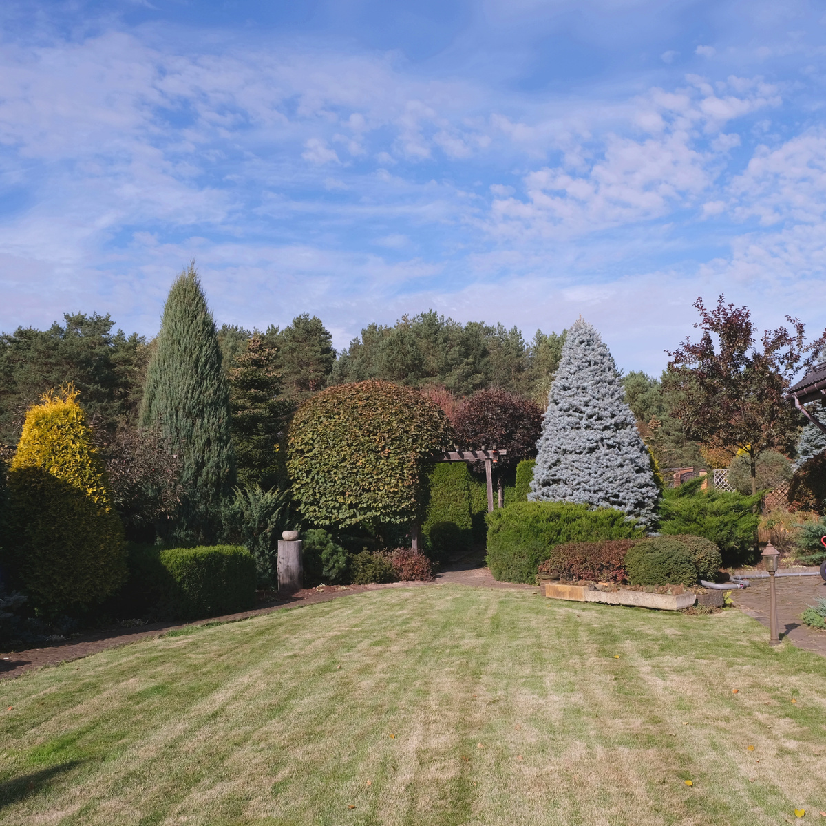 Общий вид на сад