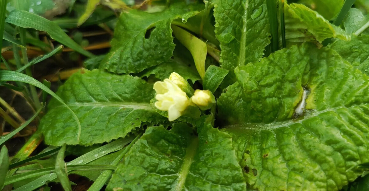 6 января 2026 г.