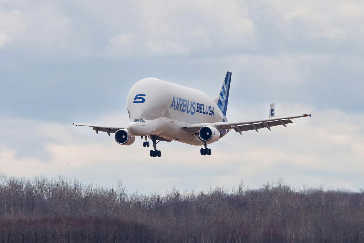 Фото: Airbus  📷
