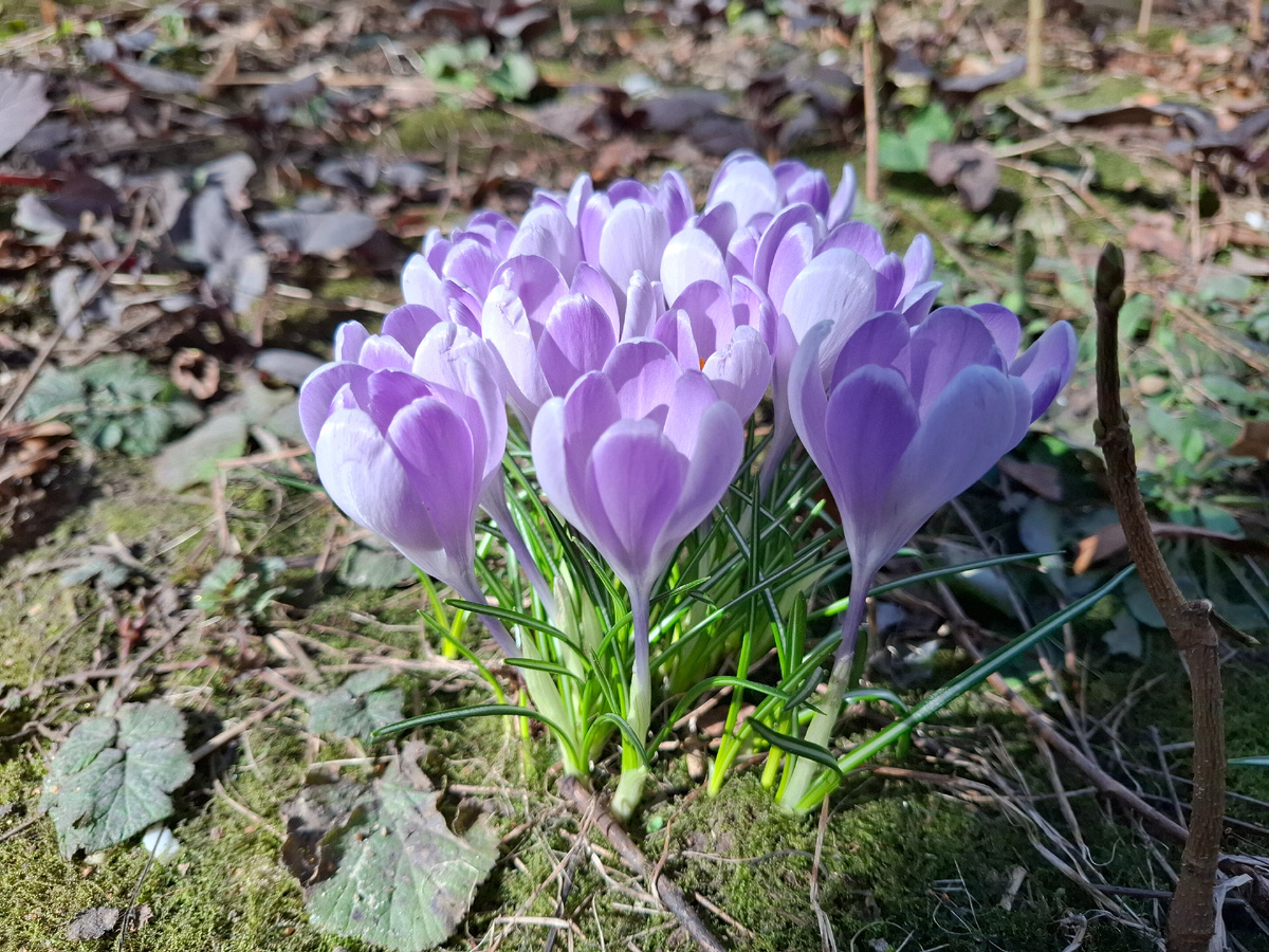 Весна вовсю