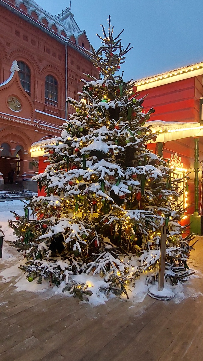 Новоголняя ёлка