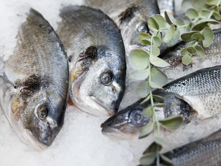     Sergey Elagin / Business Online / Global Look Press