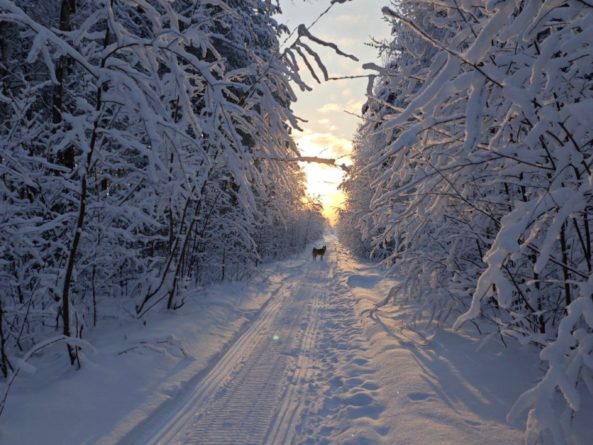 Фото: Евгений