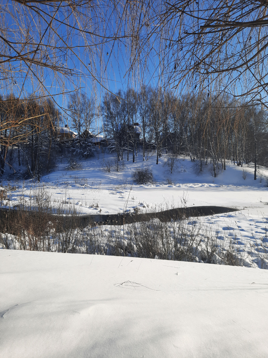 Утки в полынье