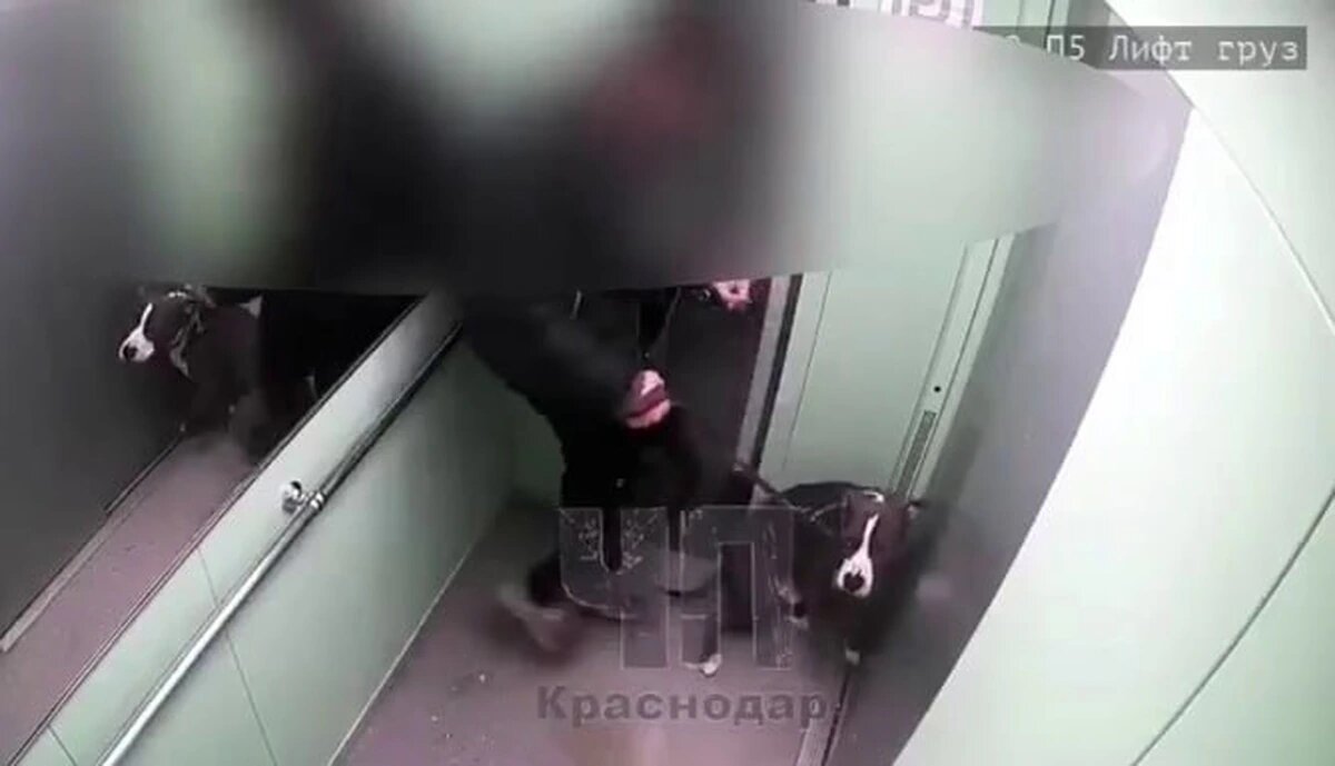    Фото t.me/chp_krd