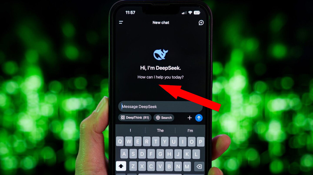    Пользователи РФ массово бегут к DeepSeek Почему именно он застолбил первое место и что за зверь такой