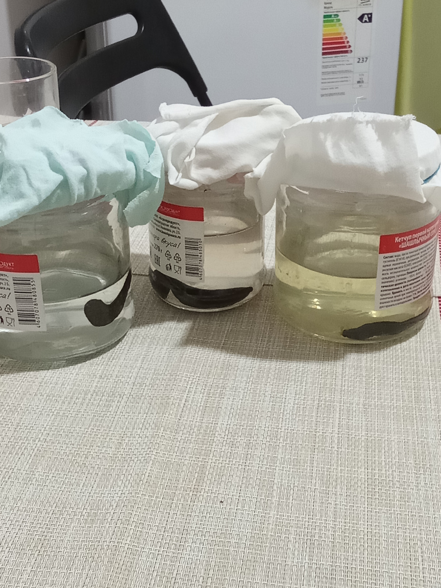 Мои лечебные пиявки 