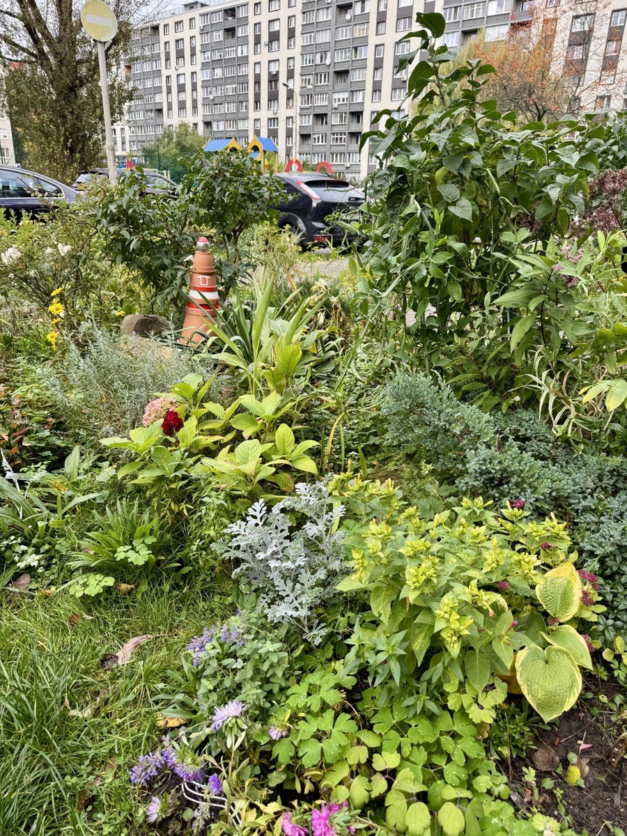 Прошедшее лето