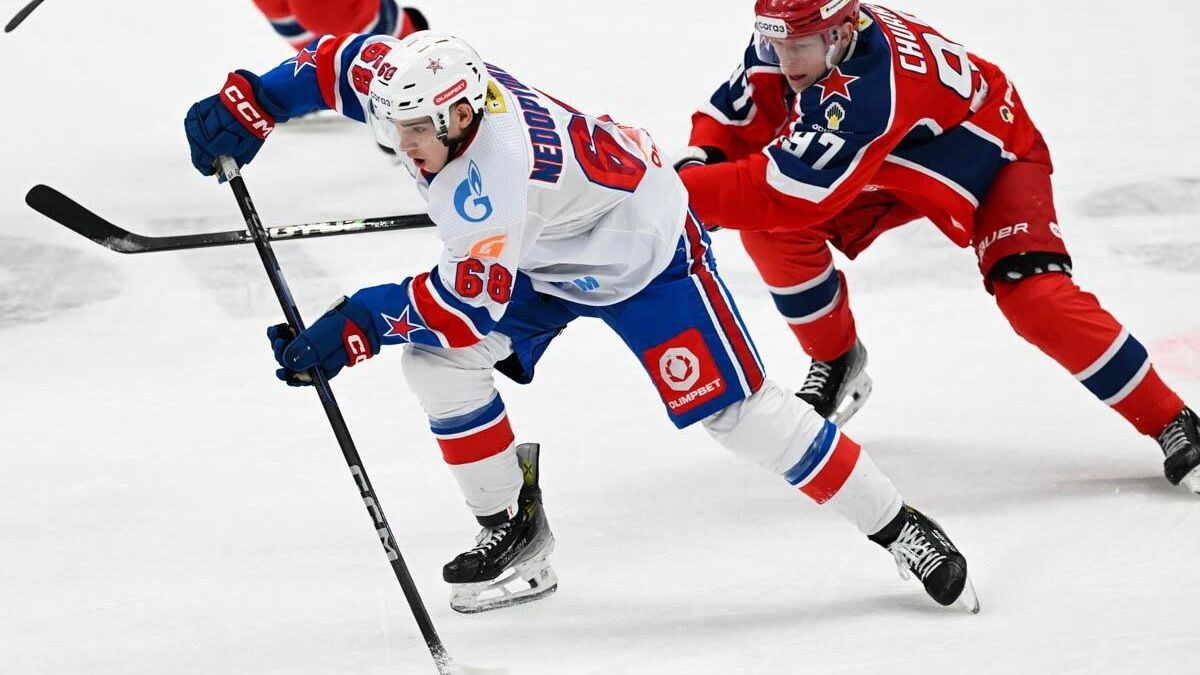    Фото: Хоккейный клуб СКА/t.me