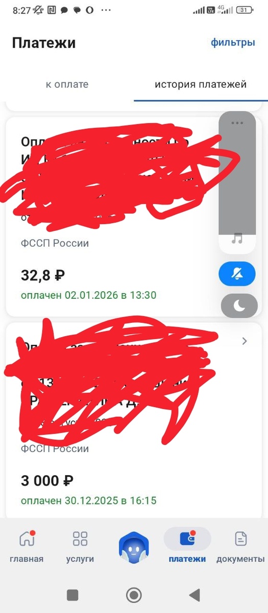 Скрин с гос услуг. 
