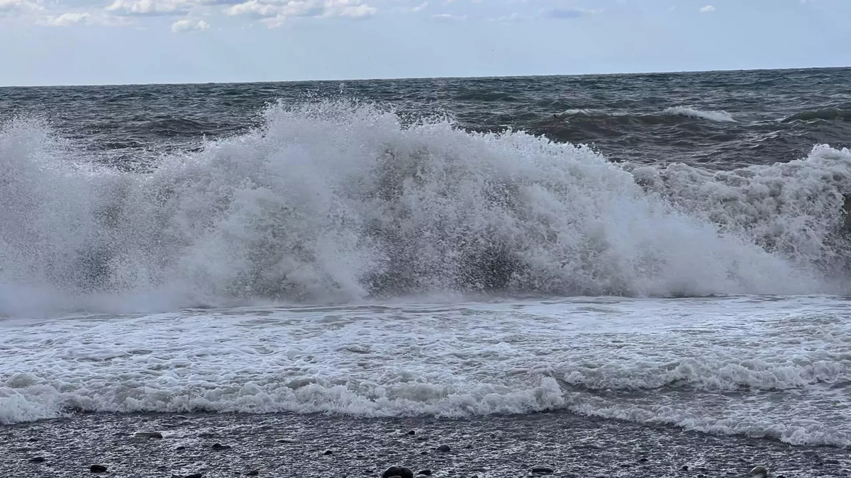 © photo: Sputnik / Stringer